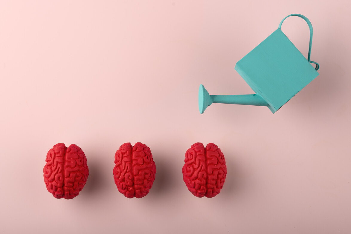 brain, brain fog, adhd, add, mental f ocus, sleep 