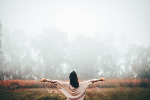 Lisa  Gorla
